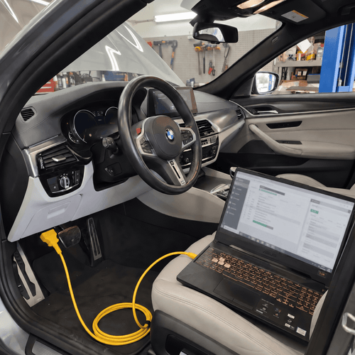 BMW Diagnostic & Coding Software for E, F, G, I Series (1999–2026) & MINI Cooper - Diagnostic Station